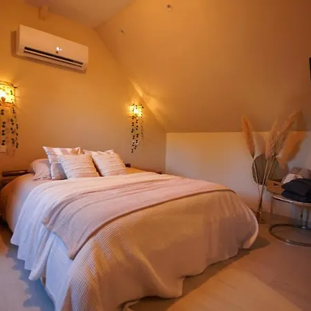 Escapade Amoureuse - Jaccuzi Et Sauna Prive Apartment *